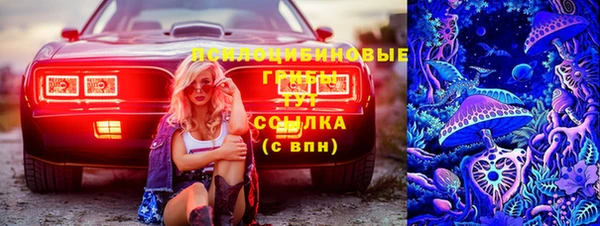 MESCALINE Чердынь
