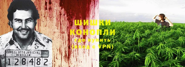 МДМА Горняк