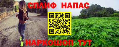мяу мяу мука Новозыбков
