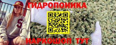 МДМА Новодвинск
