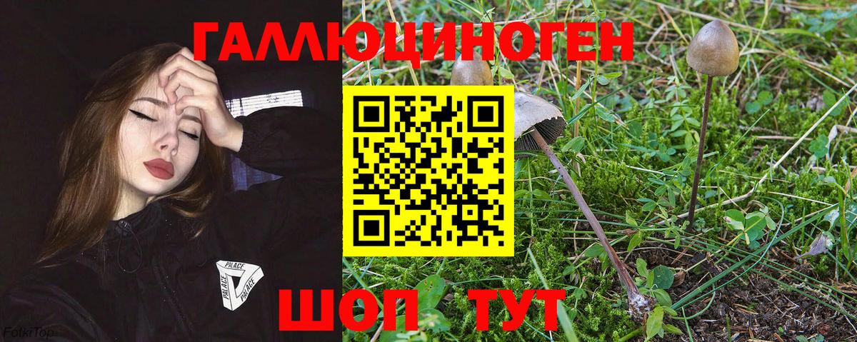 Псилоцибиновые грибы Magic Shrooms  Вход с VPN  Мончегорск 