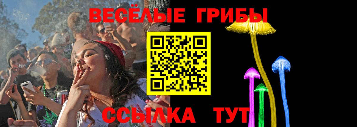 Псилоцибиновые грибы Psilocybine cubensis Мончегорск